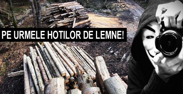 VIDEO – Pe urmele hotilor de lemne din Neamt!