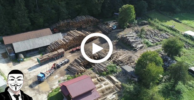 VIDEO – Gaterul cu lemn furat de la Bicazul Ardelean