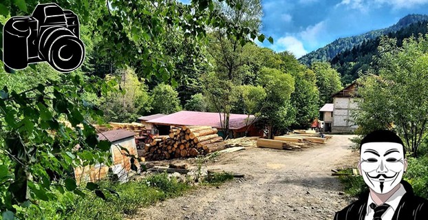 Gater cu lemn furat din Tarcau (Cazaci)