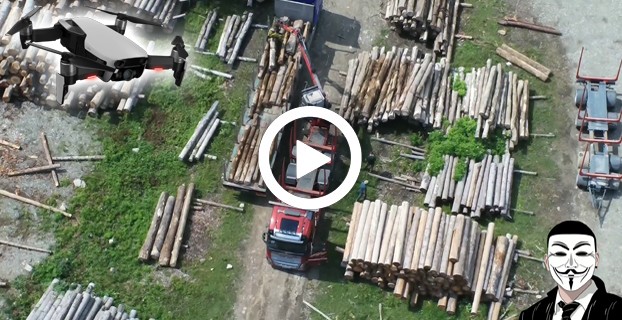 VIDEO – Depozitul cu lemn furat al Ocolului Silvic Vaduri