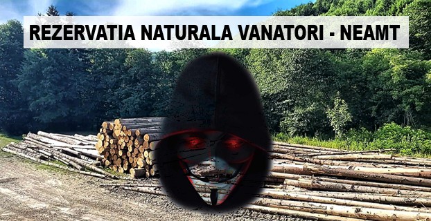 Pe urmele hotilor de lemne din Rezervatia Naturala Vanatori – Neamt (2/5)