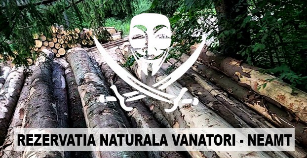 Pe urmele hotilor de lemne din Rezervatia Naturala Vanatori – Neamt (3/5)