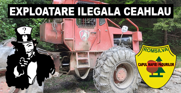 Exploatare Ilegala Ceahlau (FOTO/VIDEO)