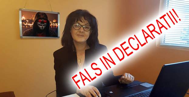 Penala Dana Vinca si FALSUL IN DECLARATII! (DOCUMENT)