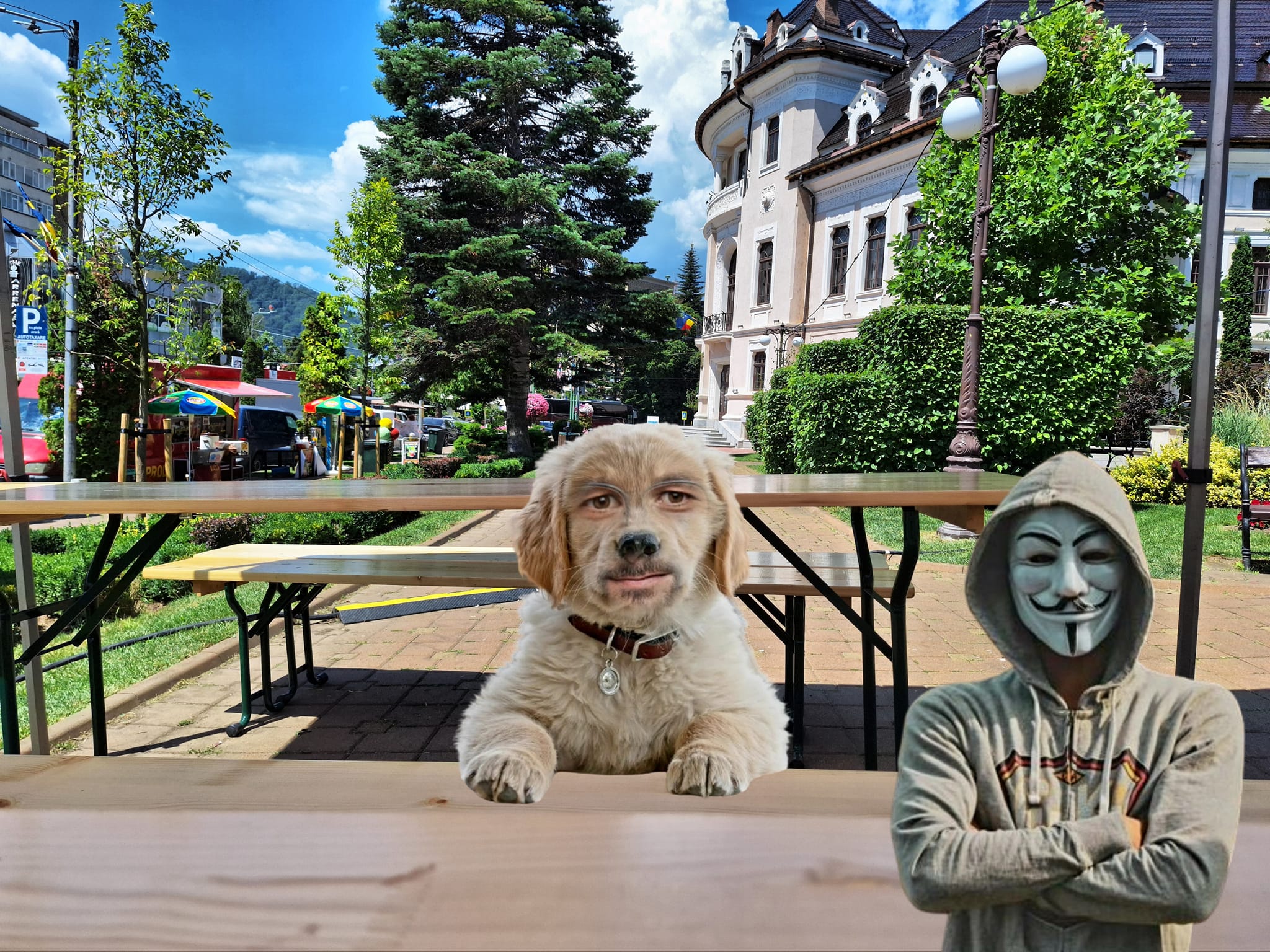 carabelea caine pierdut parc piatra neamt anonymous piatra neamt