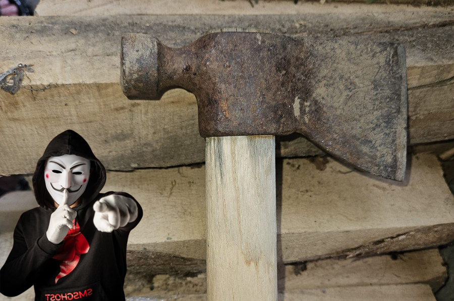 FOTO – CIOCANUL FALS DE MARCAT ARBORI DIN POIANA TEIULUI