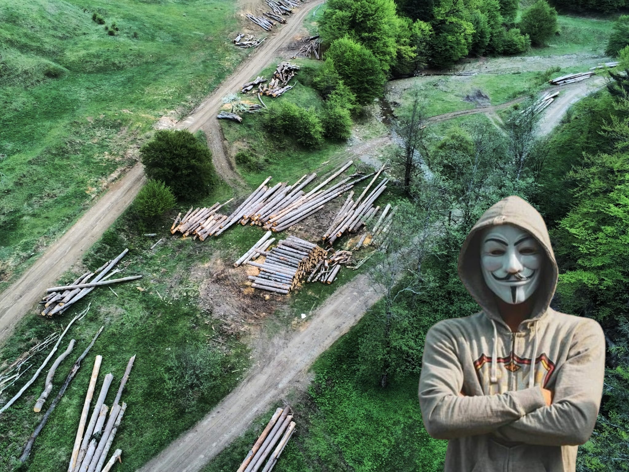 Activitate intensa la hotii de lemne din Neamt cu ocazia campaniei electorale