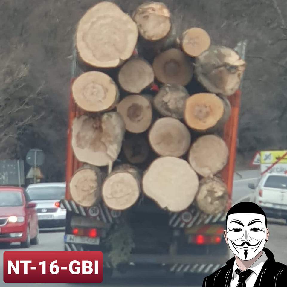 Hotii de lemne din Tarcau si camionul cu 3 crengute…