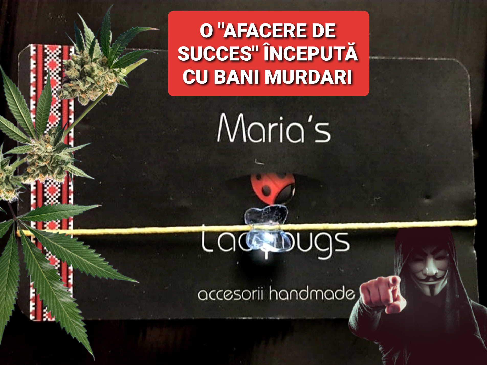 maria ladybugs piatra neamt bani murdari infractiune anonymous piatra neamt