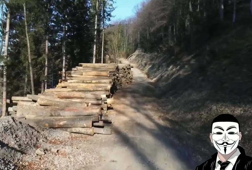 Padurarul si lemnele furate, ascunse in padure de ochii autoritatilor