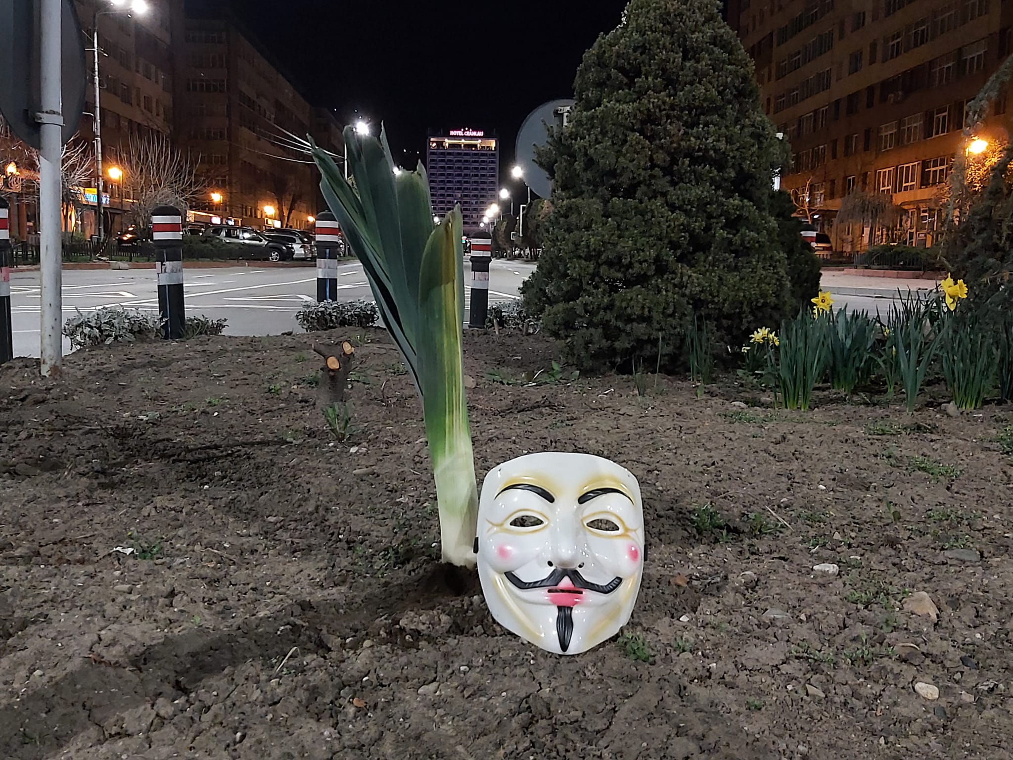 palmieri ceapa piatra neamt anonymous piatra neamt