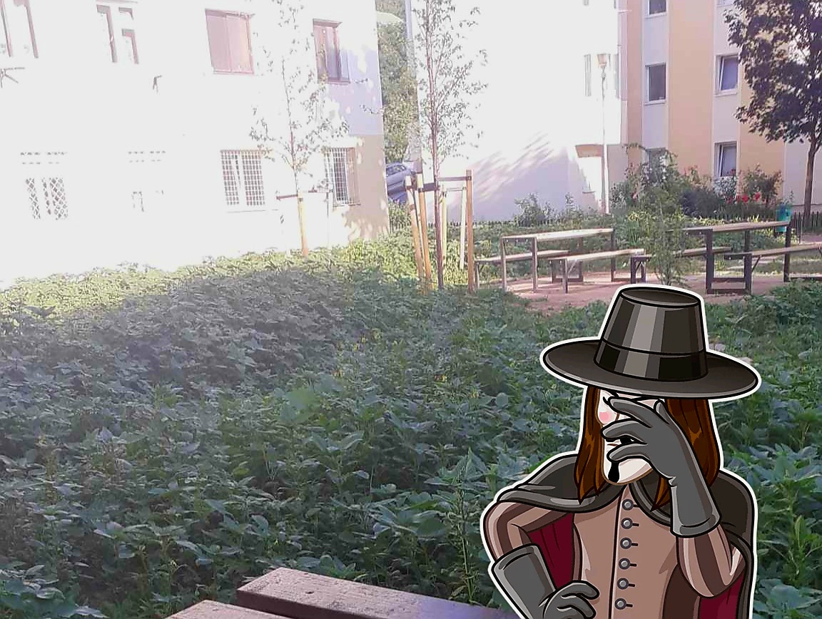 piatra neamt lenin parc primaria andrei carabelea anonymous piatra neamt