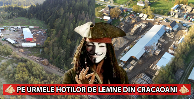 hoti lemne cracaoani neamt dogaru usturoi psd pnl anonymous piatra neamt