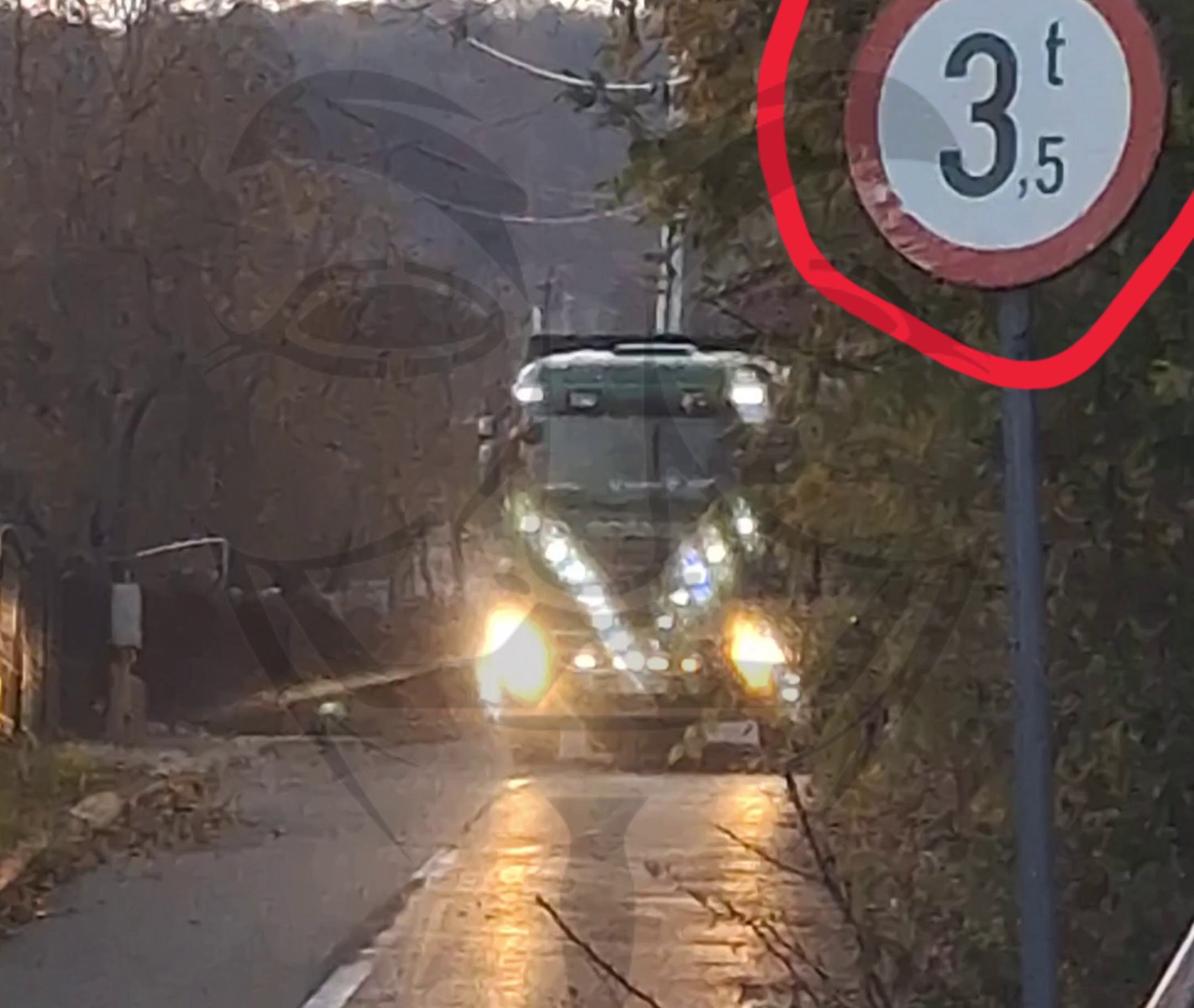 Hotii de lemne (YMY – Nedymon) si limita de tonaj