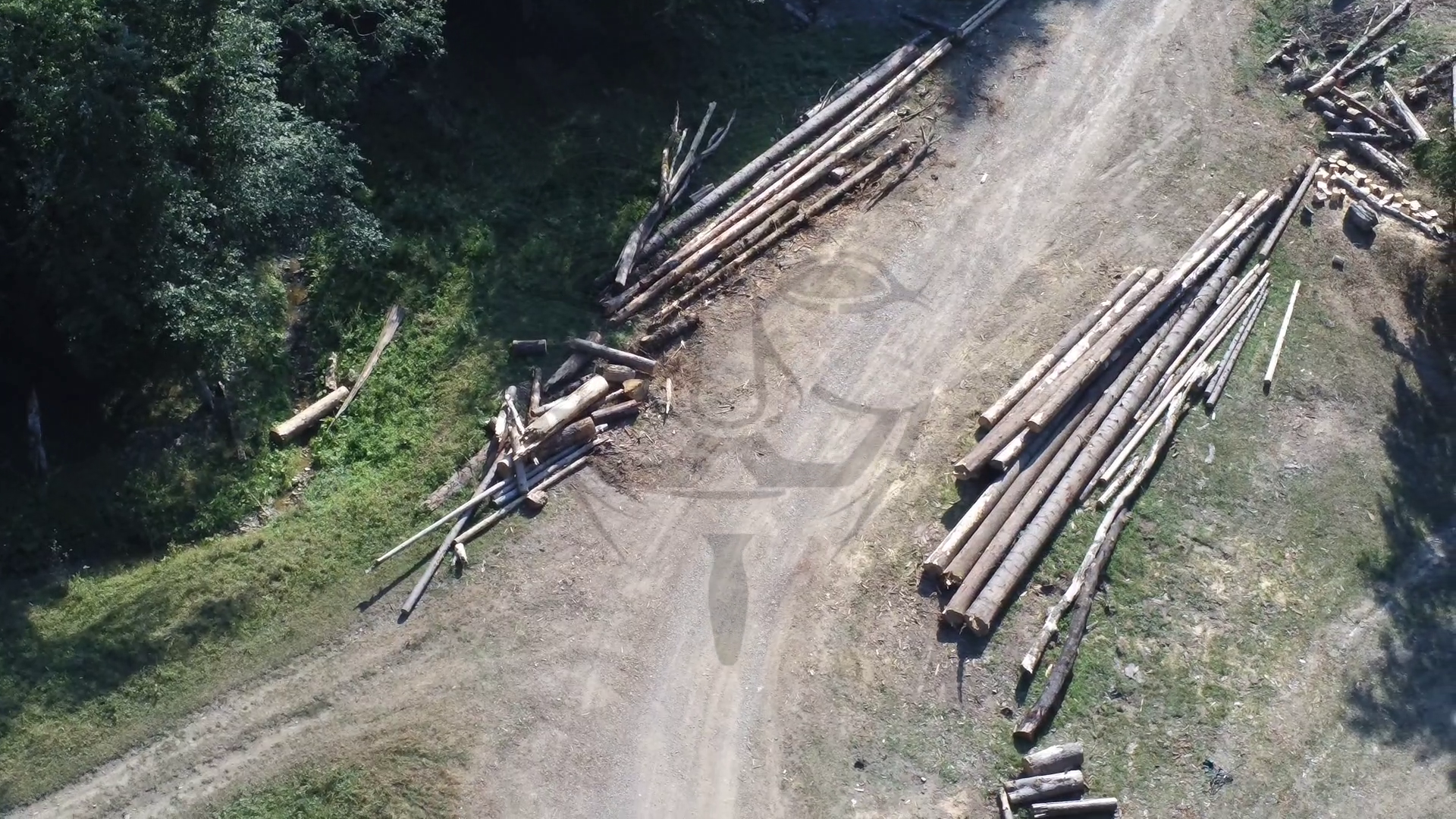 Exploatare cu lemn furat la Batca Doamnei