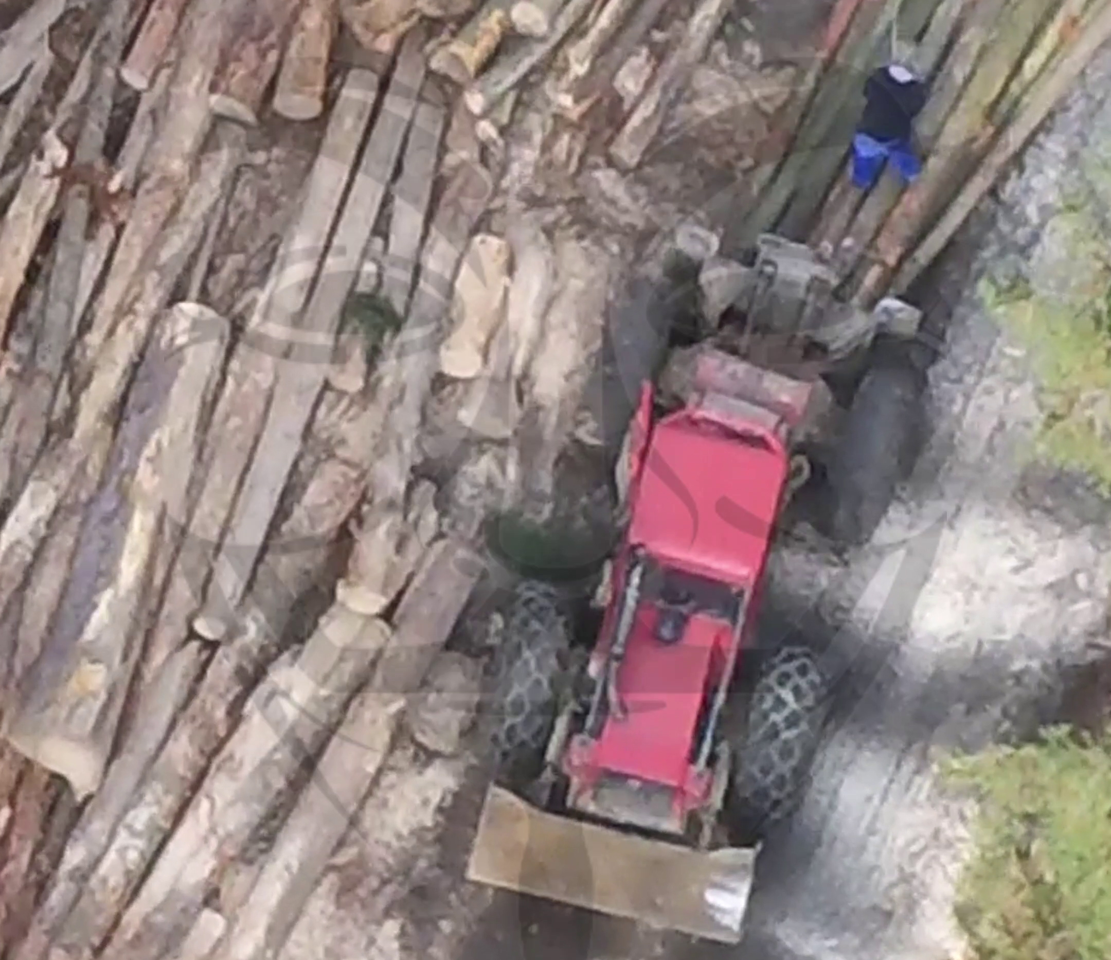 Pe urmele talharilor din padurile de la Neamt