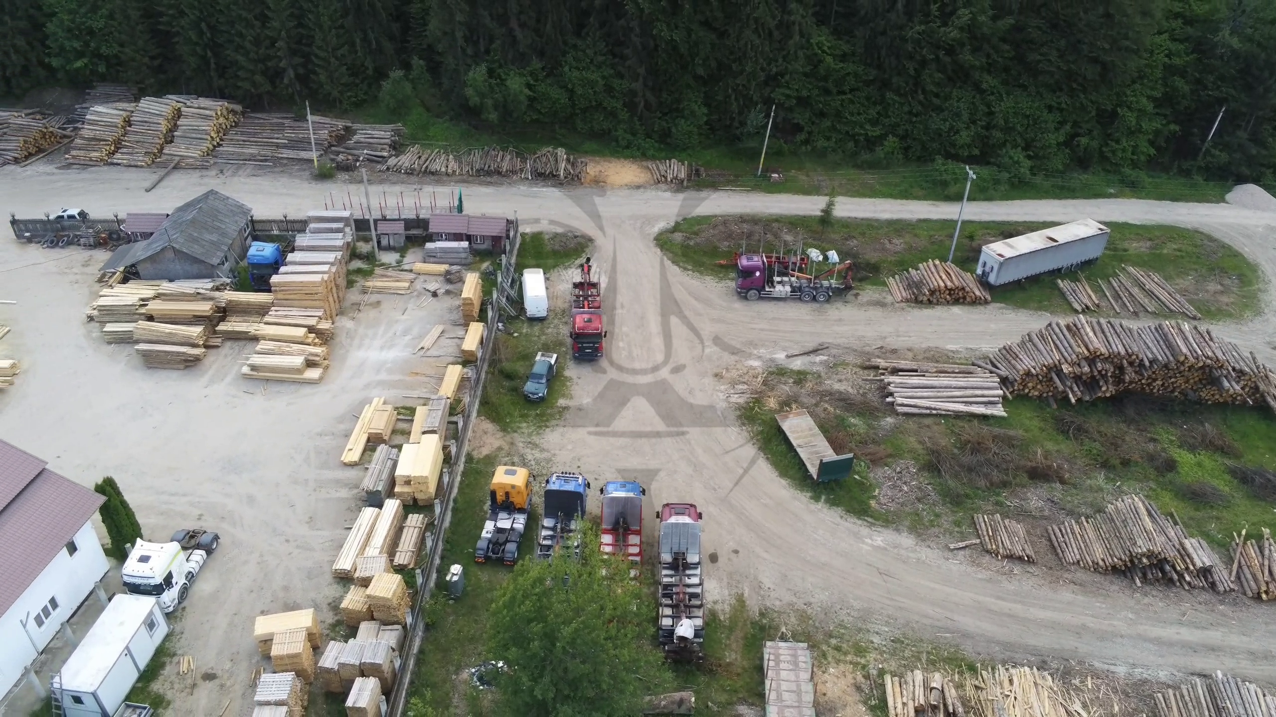 Taramul hotilor de lemne din Tasca (Bicaz)