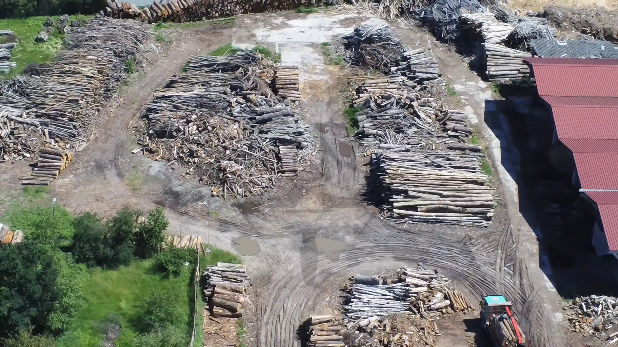 Pe urmele hotilor de lemne de la Pangarati – Straja