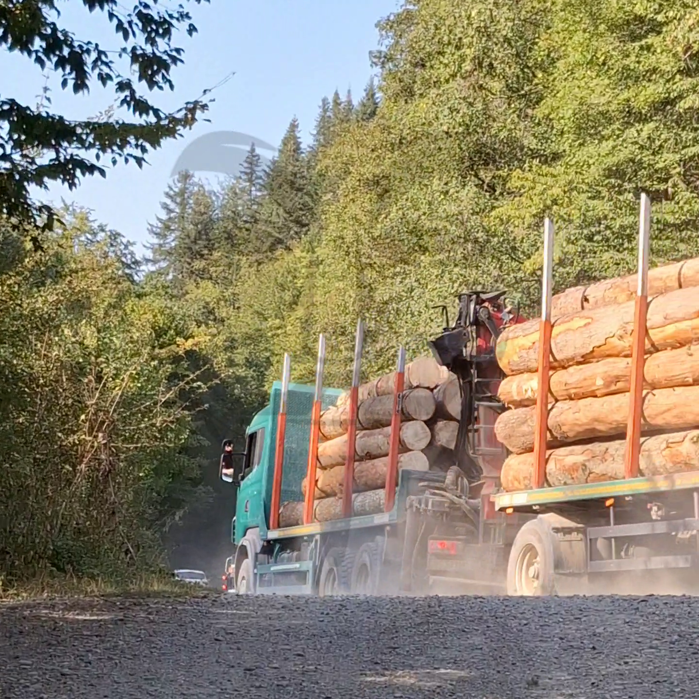 Camionul cu lemn furat al hotilor de la NEDYMON – YMY