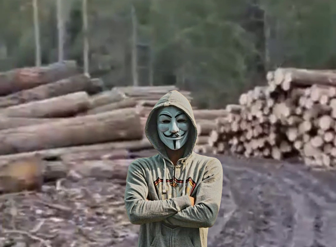 hoti lemne tarcau neamt coruptie psd pnl romsilva anonymous piatra neamt