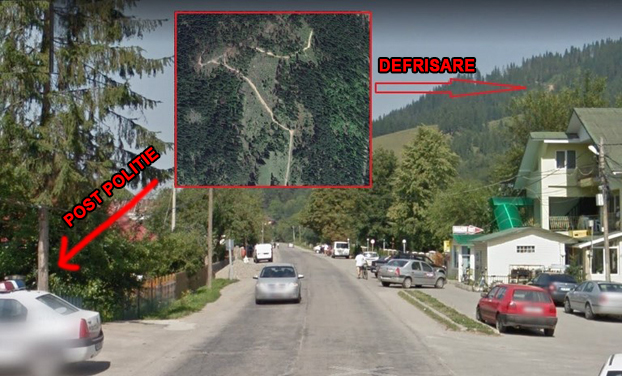 defrisare-poiana-teiului-1x