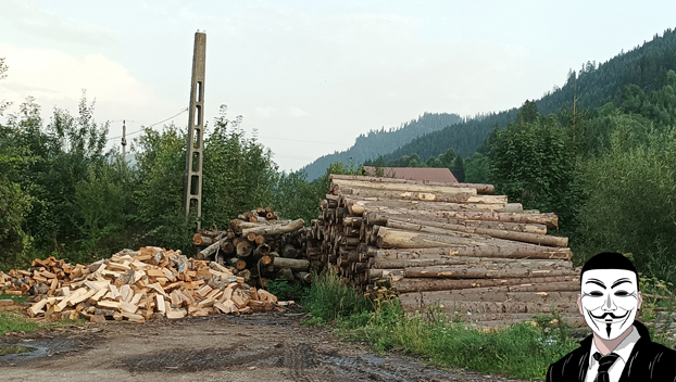 dep-lemn-furat-poiana-teiului-gavrilut-1