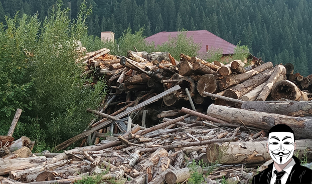 dep-lemn-furat-poiana-teiului-gavrilut-4