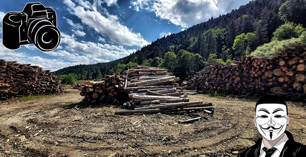 depozit lemn furat ocol silvic brates tarcau anonymous piatra neamt