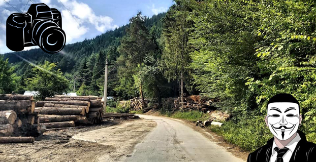 Gaterul cu lemn furat de la Poiana Teiului