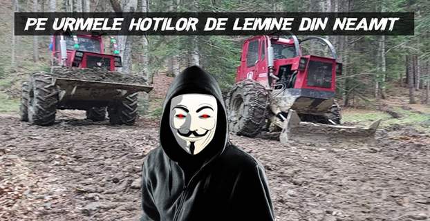 Pe urmele hotilor de lemne din Neamt – Exploatare forestiera Tazlau (VIDEO)