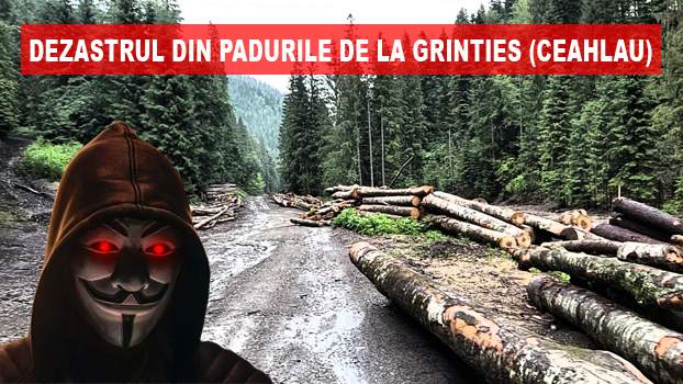 Pe urmele hotilor de lemne din Grinties (5/5)