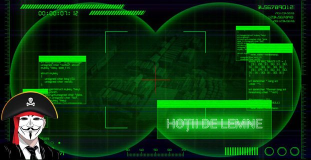 Vizitia nocturna la hotii de lemne din Neamt