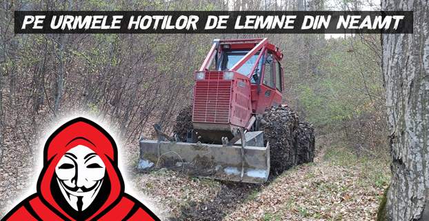 Pe urmele hotilor de lemne din Neamt – Exploatare forestiera langa oras (VIDEO)