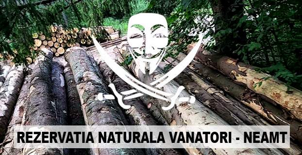 hoti lemne vanatori neamt3 anonymous piatra neamt