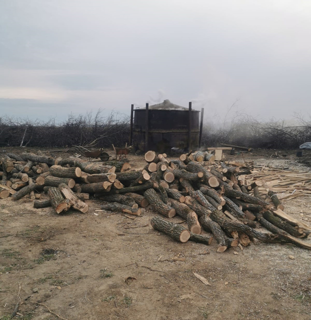 nacu-andrei-carbuni-1a