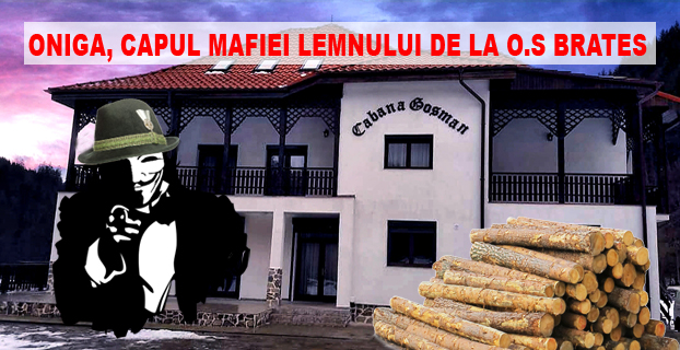 Oniga, capul mafiei lemnului de la O.S Brates!