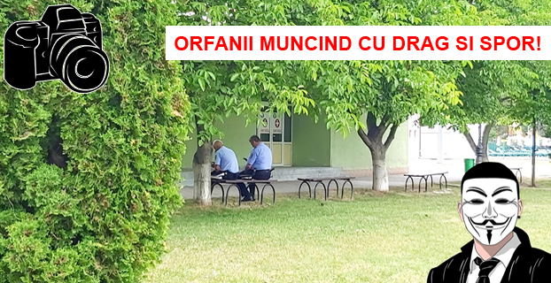 politia locala piatra neamt la munca anonymous piatra neamt