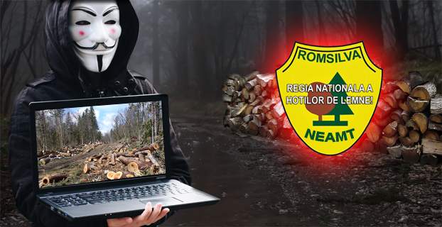 romsilva neamt hoti lemne garcina anonymous piatra neamt
