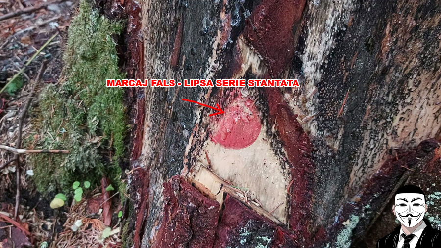 marcaj fals2