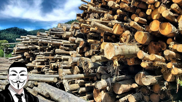 10 anonymous piatra neamt 10