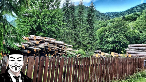 11 anonymous piatra neamt 11