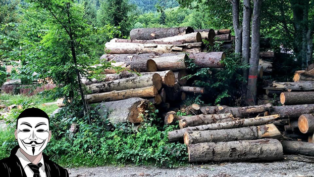 12 anonymous piatra neamt 12