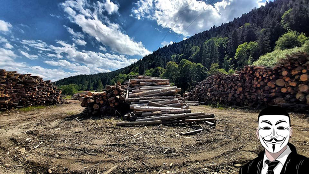 1 anonymous piatra neamt 1