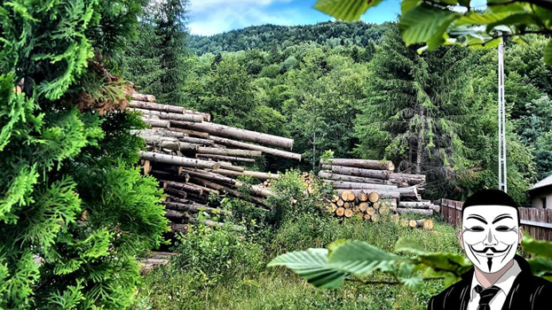 14 anonymous piatra neamt 14