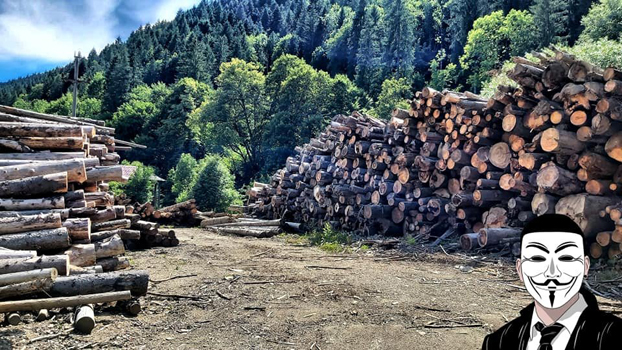 15 anonymous piatra neamt 15