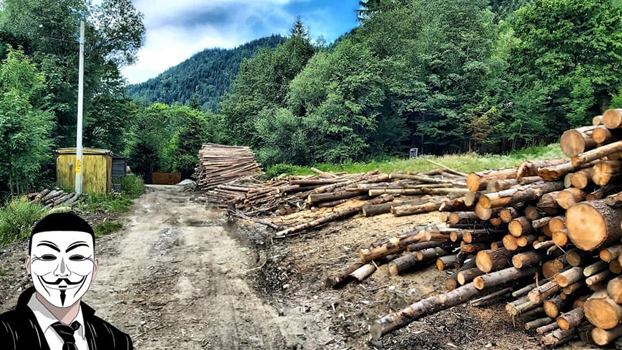 16 anonymous piatra neamt 16