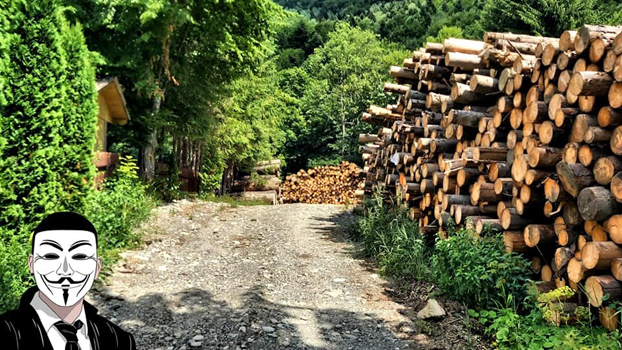 17 anonymous piatra neamt 17