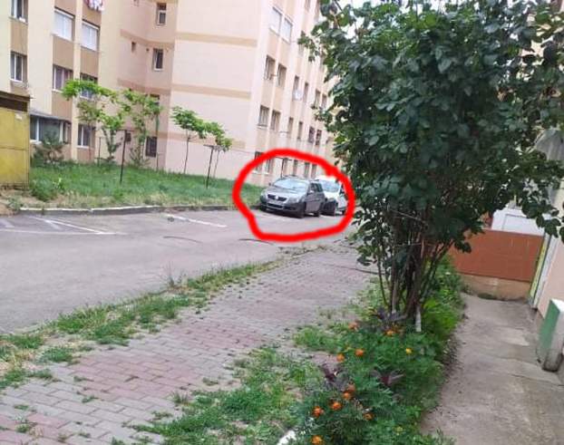 pp3 anonymous piatra neamt pp3