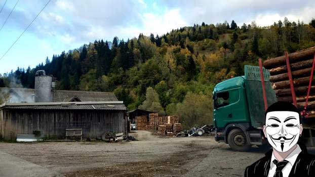 dm11 anonymous piatra neamt dm11