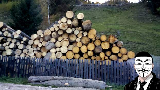 dm12 anonymous piatra neamt dm12